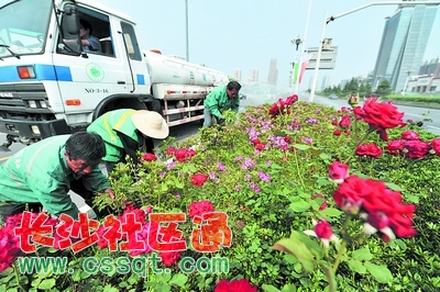 5854dd50-3a3d-4ff1-a604-cde7730c4486.jpg